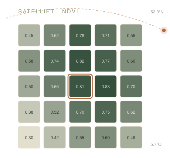 Satellietweergave van een perceel als raster van NDVI-tegels