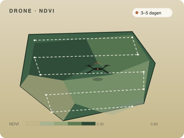 Drone-vluchten — top-down NDVI-kaart met vluchtroute